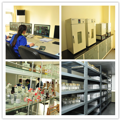 DSC Control Room & Lab