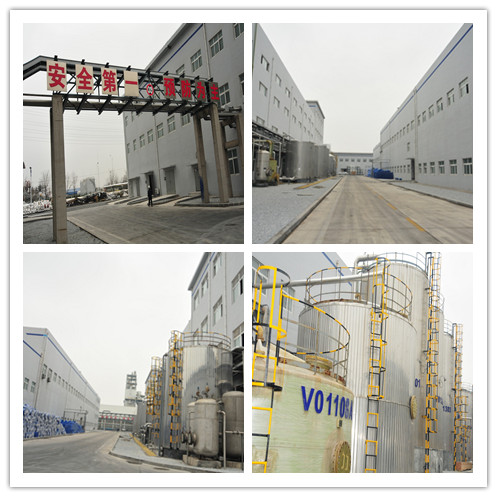 Silica Gel Plant Corners