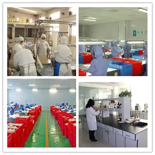 Foods Plant Corners